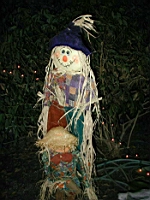 Picture 064.jpg: 2002/10/31 Halloween - 2002